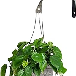 Metal Wall Hook Hanging Plant Bracket | Decorative Straight Plant ,Hanger for Pots Bird Feeders, Planters, Lanterns, Cotton, Wind Chimes Indoor and Outdoor Hanger (Pack Of 1, Large Black 27)-picture-21