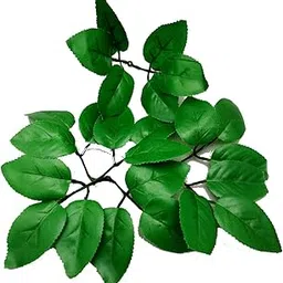 Just Flowers Artificial Rose Petals, Plastic Natural Looking Leaves Bunch for DIY Craft/Flower Making/Bouquet Decoration Pack of (Green, 15)-picture-18