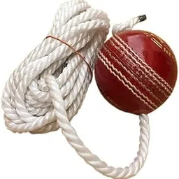 Uday Sports Leather Cricket Shot Practice Hanging Ball, String Cricket Ball and Knocking Cricket Ball with Rope (Multi-Color) (Pack of 1)-picture-19