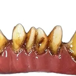Troll FX Fangs 2.0 Vampire Teeth Dental Veneers-picture-37