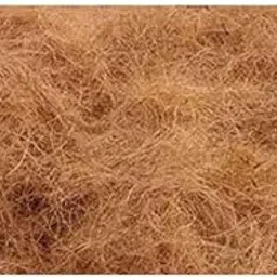 Mats Avenue® Manually Extracted Natural Coir Fiber Nesting Material for Birds for Making Nest, Laying Eggs Breeding as Natural Bed, Playing Toy and Many More 500 Grams Perfect Quality-picture-20
