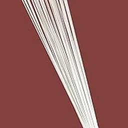 CLEANEX INDIA White Kharata Broom - 22 Inch Fiber Bristle with Plastic Handle for Bathroom, Toilet & Outdoor Cleaning (1)-picture-33