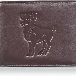 tamanna Dark Brown Colour Stylish Genuine Leather Money Purse Only for Boys (LWM00201-TM_14)-picture-12