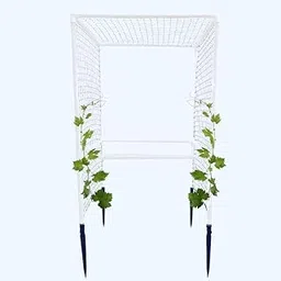 Trelliskart Garden Plant Climber Support Cage Stand with Creeper Support Plant Support Poles and Stakes Plant Trainer Poles- 5x2 Feet, White, with Net for Climber Support-picture-20