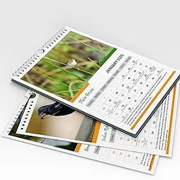 In Frame Clicks Stunning Indian Birds Monthly Wall Calendar 2026 - Printed In Glossy Photo Sheet - 13x19 inches with Statewise Festival Holidays & Bird Information-image-33