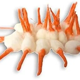 Cotton Wicks for Puja (Saffron Color) Jyot batti/Diya Cotton Wicks/Round-picture-16