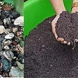 Washed Cinder 5 kg + 5 kg Leaf Compost-picture-44
