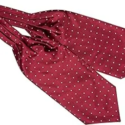 the tie hub Revolve Burgundy Polka Cravat For Men-picture-13