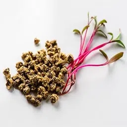 Hybrid F1 Beetroot Seeds (250 Seeds) Winter Vegetables Seeds, Beetroot Seeds For home garden-picture-26