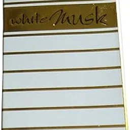 advancedestore ASTIN WHITE MUSK 6 ML pack of-1 ALCOHOL FREE-picture-46