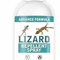 Lizard Repellent Spray| Made with Citronella, Lemongrass, Cedarwood & Neem| Irritant-Free, Chemical-Free |Skin-Safe, Plant-Safe (250 ML) (1)-image-1