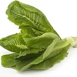 Fresh Lettuce, Romaine, 1 Piece (Appprox 250 gms)-picture-41