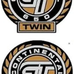 Grayfixx 650 Twin Logo Sticker for Continental GT image 1