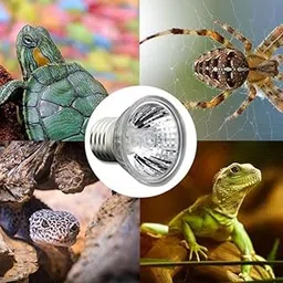 rizopets Reptile Heat Bulb, Full Spectrum UVA/UVB E27 Socket Base Basking Bulb for Turtle, Reptiles, Amphibians, Aquarium Tank & Terrarium (25 Watt, Pack of 01)-picture-14