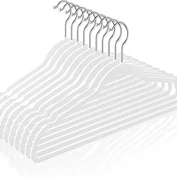 Golden bird Plastic Hangers Heavy Duty Dry Wet Clothes Hangers with Non-Slip Pads Space Saving Hanger Super Lightweight Organizer (White, 10 Pieces) image 1