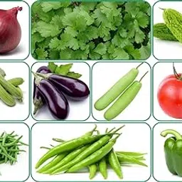 Aero Seeds 10 Variety Of Vegetable Seeds Combo Pack With Instruction Manual.-image-21