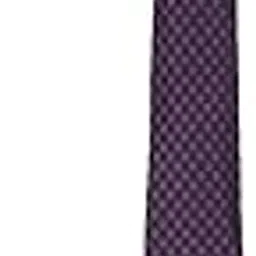 allen solly Men Purple Embroidered Formal Tie-picture-56