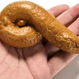 Sawkirp darshraj Stress Anxiety Relief Toy Pack of 1 Piece (Prank Poop Fake Shit)(Random Color)-picture-14