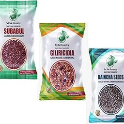 SRI SAI FORESTRY Green Manure Seeds Kit - Subabul Seeds | Gliricidia Seeds | Daincha Seeds Pack of 100 Gram Each-picture-13