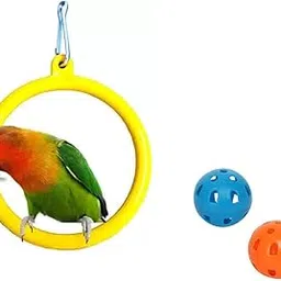 The Pets Company Small Bird Swing & Ball Set of 3, Multi, Indoor, Active, Behavior, 10cm x 10cm x 5cm-picture-28