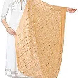 dupatta bazaar Women's Beige Embroidered Chiffon Dupatta with Mirror Work-Beige-picture-22