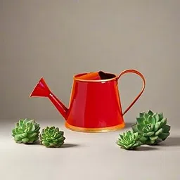 The Craftified - Plants Watering Can | 19 x 10 x 9 cms | 300 ml | Metal, Rust Free | Mini Watering can | Watering can for Kids | Gardening Equipment (1, Red)-picture-39