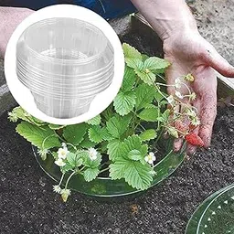 CALANDIS™ Snail Plant Collar Collar Transparent Garden Cloches for Indoor Pots Planter Transparent-picture-15