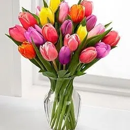 Audbhidhi Tulip Plant For Winter Flower Bulbs For Home Gardening pack of 2 Bulbs not plant-picture-19