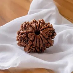 FOREVER Gems Culture 10 Mukhi Nepali Rudraksha Original IGL Certified High Rated Dus/Das Mukhi Rudraksha Blessed Bead AA++ Ten Face Rudraksh for Men & Women 10 मुखी रुद्राक्ष नेपाली ओरिजनल-picture-14