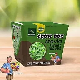 ORGANIC STEVIA HERB GROW BOX/KIT | INCLUDES LARGE POT,POTTING MIX,SEEDS,SCRAPER TOOL,ROOT-O-SHOOT,PLANT NUTRIFIER,BUG DETERRENCE POWDER,PERFECT FOR HOME KITCHEN GARDEN & GIFTS-image-1