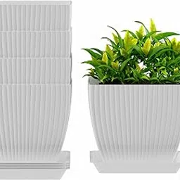 JD FRESH Set of 5 Plastic Round Flower Pots for Home Planters/Terrace, Garden/Suitable for Home Indoor & Outdoor/Gardening Pots for Plants/Plant pots for Balcony (Square, White)-image-39