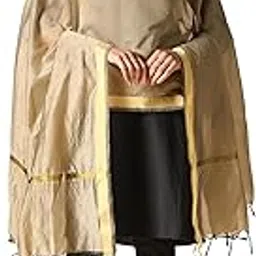 saanjh Women's Beige Organza Dupatta with Golden Border-picture-27