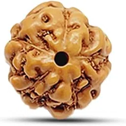 RudraBliss 5 Mukhi Rudraksha Original Certified 5 Mukhi Indonesian Rudraksha Collecter Size Java 5 Mukhi Rudraksha Kalagni Panchmukhi Rudraksha 5 Face Rudraksha 5 Mukhi Indonesian Bead IGL Certified-image-95