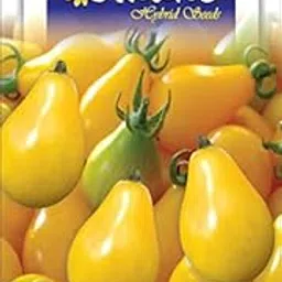 Tomato Yellow Pear Shaped (Imported) Exotic Seeds - Pack of 2 Kitchen garden seeds packet-picture-19