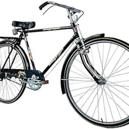 RALLEY Gold Rally Popular 22 Inch Men's Full Size Bicycle | with Carrier, Stand and Lock | Single Speed (48 Teeth Heavy Duty Chainwheel), Road Bike-image-75