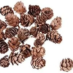 Enakshi® 30x30sets Pine Cone Pineal Nuts Party Decorations Adornments Vase Bowl Fillers|Crafts | Multi-Purpose Craft Supplies | Crafting Pieces | Pine Cones-image-5
