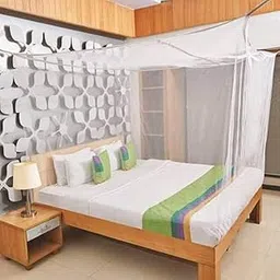 IBLAY 8x8 FT Ivory Mosquito NET for Double Bed Maharani Quality Material - Mosquito Net Machardani King Size Bed image 1