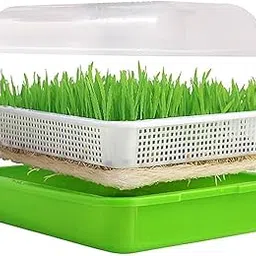 Hydroponics Tray Plastic to Produce Green Fodder Maize Wheat Grass with System Stand Plant Growing Trays, Black Plastic, 5-Pack, Diamond Pattern, Drainage Holes, Seedling Starter Trays-image-9