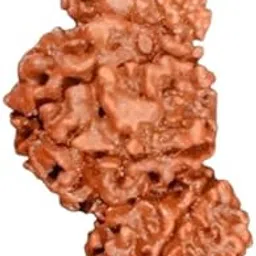 Cuonna Gems Gallery AAA+++ Quality Trijuti Rudraksha त्रिजुटी रुद्राक्ष Nepali Rudraksha Original Certified Ruthrajam त्रिजुति रूद्राक्ष Enchanting Tribhagi Rudraksh Ruthratcham Laal Dhage Ke Sath For Wearing Everyone-image-10
