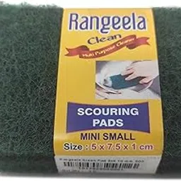 Rangeela Polyester Scrub Pads 3x4 10mm Inches (Pack of 3, Green)-picture-33