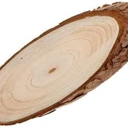 SHOPORA 3x1 Piece Cedarwood Oval Wood Slices for DIY Crafts Wedding Decor S Crafts | Multi-Purpose Craft Supplies | Crafting Pieces | Wooden Pieces-picture-29