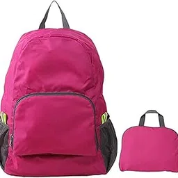 harp 16 Ltrs Pink Casual Backpack (201801003)-picture-24