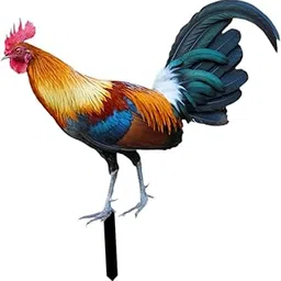 VELURA Rooster Garden Stake Yard Sign Realistic Yard Art for Lawn Pathway Courtyard 24cmx23.66cm|Statues Lawn Ornaments|1x Rooster Garden Stake|Home Garden-image-41