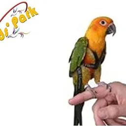 Sun Conure Belt (Sun Conure Harness)-Birds Harness soft-Good for Free flying SunConure *Birds' Park*-picture-37