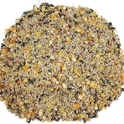 R.S. Birds & Grains All Life Stages Dove/Pigeons/Sparrow Bird Food Mix Seeds 1000Grams-picture-12