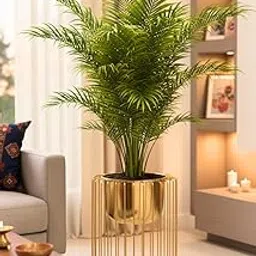 UrbanNest Gold Modern Metal Plant Stand with Cylindrical Planter | Indoor Floor Pot Holder for Home & Living Room Décor-picture-16