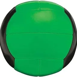 Champion Barbell 15-16-Pound Medicine Ball-picture-20