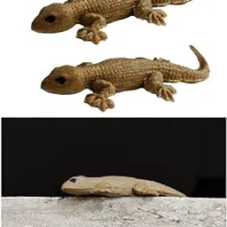 JAGMOOLYA Products Brown Lizard Chipkali Toys Fake Lizard House Gecko Rubber Practical Jokes and Prank Trick Toys Real Looking Lizard (Pack of 4)-picture-65