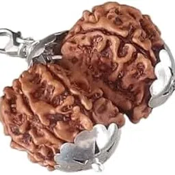 gemstone gallery Traditional Gaurishankar Rudraksha Original Certified Gaurishankar Nepal Rudraksha Gori Shankar Rudraksha Pendant Shiv Parvati Rudraksha Beads For Wearings नेपाली गौरी शंकर रुद्राक्ष-picture-23
