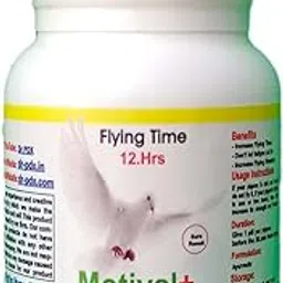 Motival-Plus Pigeon Flying Time Ready Formula, Herbal Pills, Flying Supplement for Enhanced Performance and Stamina,(25/50 Pills) (25.Pills)-picture-21